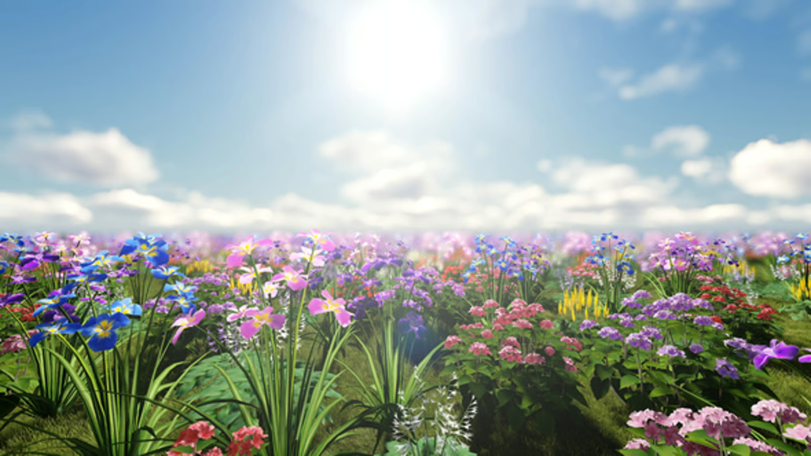 5bc93a1d-6412-4c2a-afea-7549105fb1bd.png