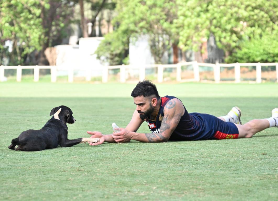 Royal Challengers Bangalore to sport green jerseys on 8th May vs SRH Royal Challengers Bangalore to sport green jerseys on 8th May vs SRH